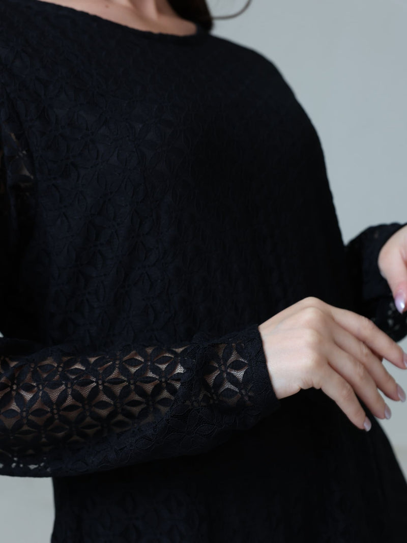 Evaleen Black Panel Net Dress