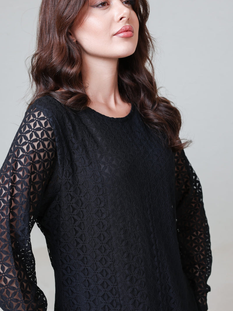 Evaleen Black Panel Net Dress