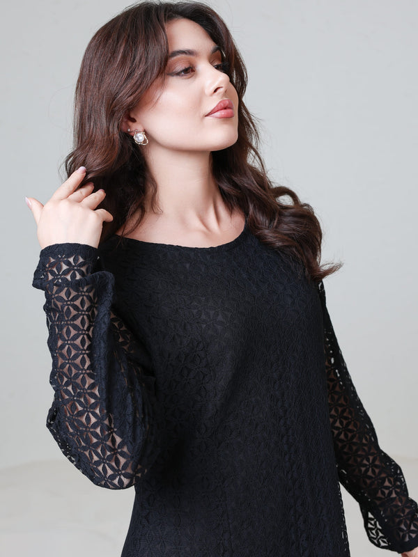 Evaleen Black Panel Net Dress