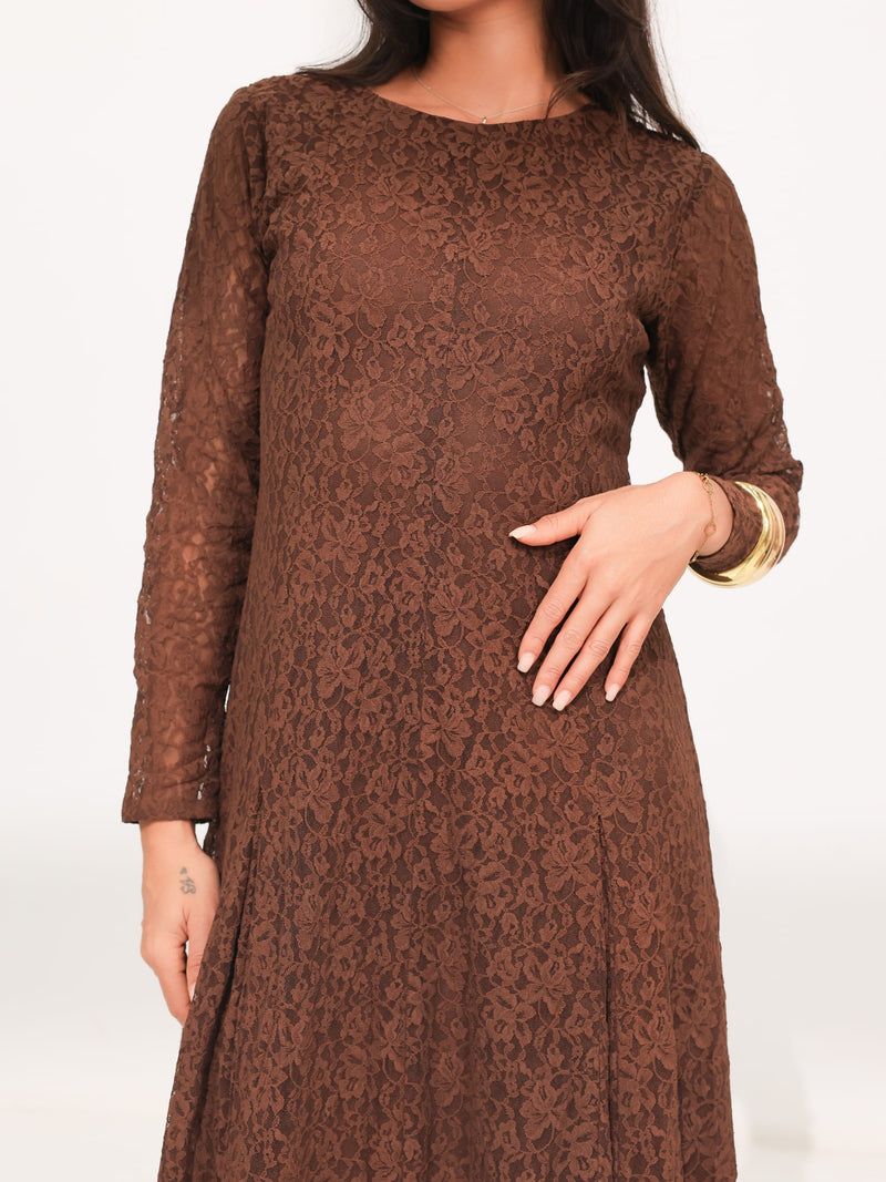 Evaleen Brown Panel Net Dress