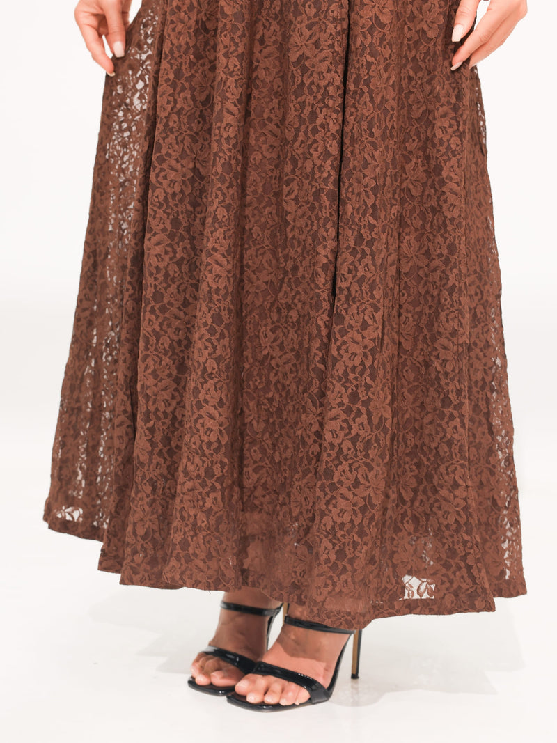 Evaleen Brown Panel Net Dress