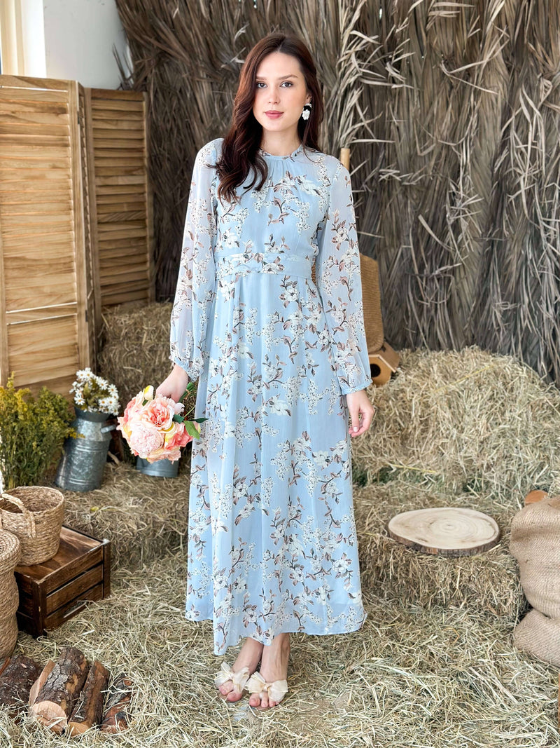 Silver Rose Long Dress Dresses  - Sowears