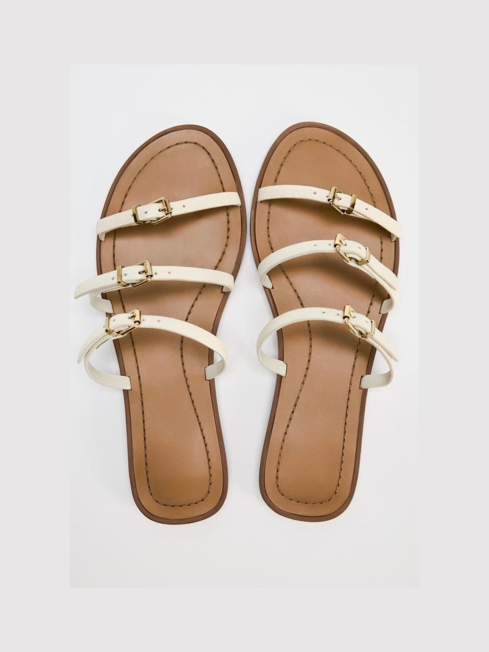 Bianca Slides
